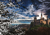 Bats and Castle