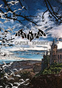 Batman Castle Knight